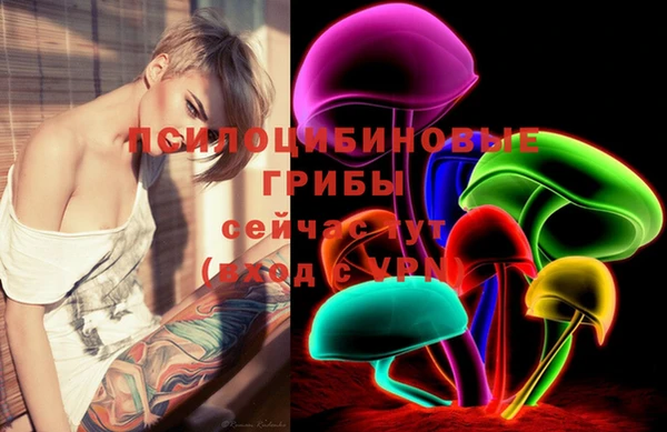 прущие грибы Алексин