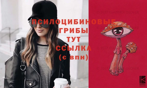 крисы Абаза