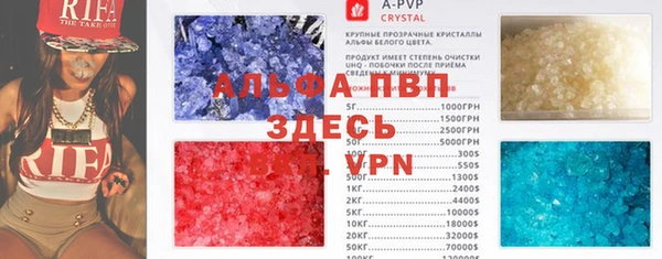 крисы Абаза