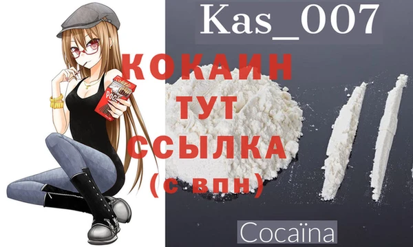 крисы Абаза