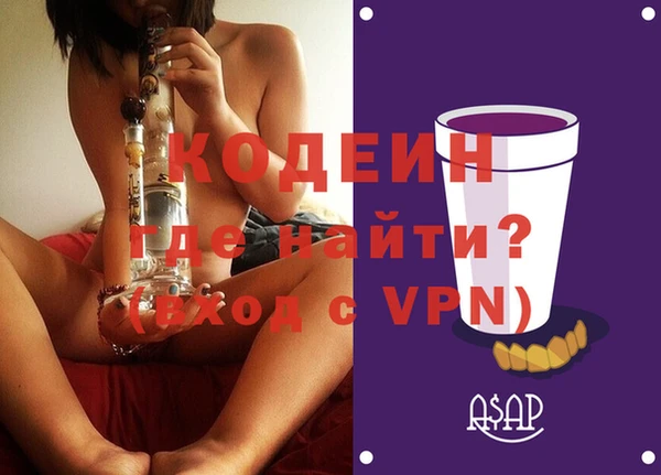 крисы Абаза