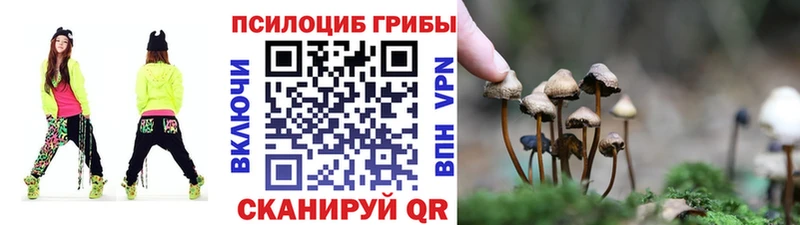 мориарти как зайти  купить  цена  Тотьма  Галлюциногенные грибы Psilocybe  ссылка на мегу зеркало 